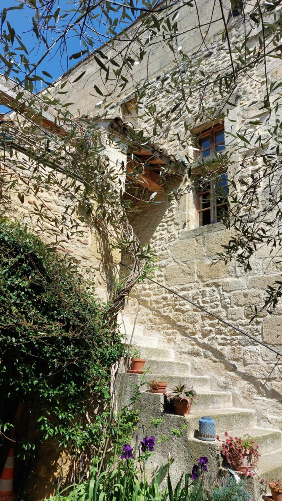 Le Petit Domeynes Apartment Екстериор снимка